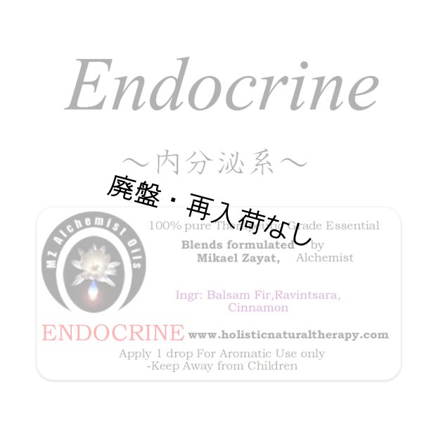 画像1: 【廃盤商品】 Endocrine-エンドクリン（内分泌系）- (1)