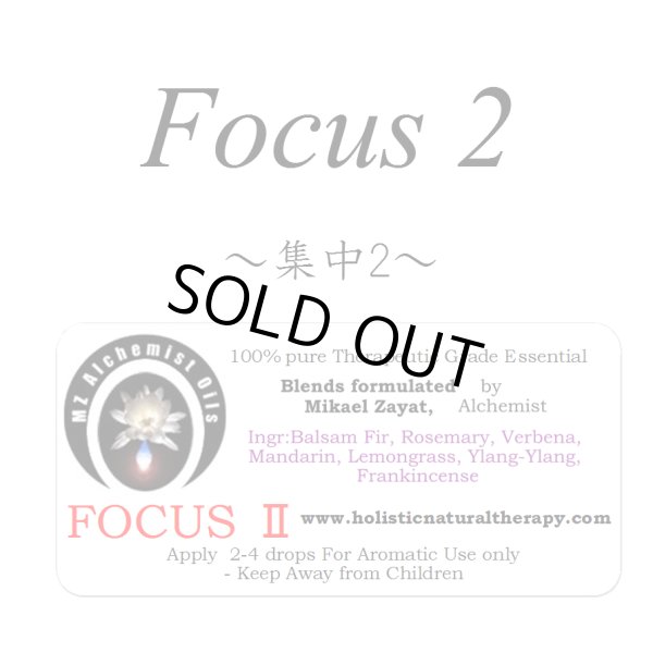 画像1: FocusII-フォーカスII（集中）- (1)