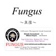 画像1: Fungus-ファンガス（真菌）- (1)