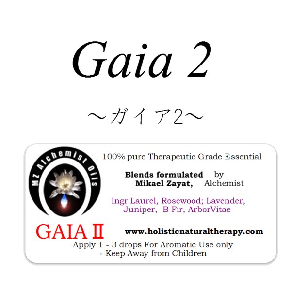 画像1: 【在庫限り】 Gaia II-ガイアII- (1)