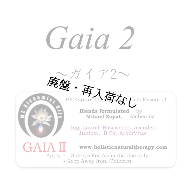 画像1: 【廃盤商品】 Gaia II-ガイアII- (1)