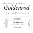 画像1: Goldenrod-ゴールデン・ロッド- ハーバルウォーター50ml (1)