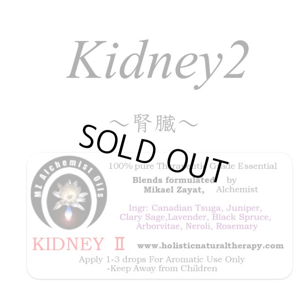 画像1: Kidney II -キドニー(腎臓 II)- (1)