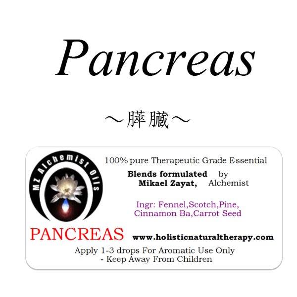 画像1: Pancreas-パンクリアス(膵臓)- (1)