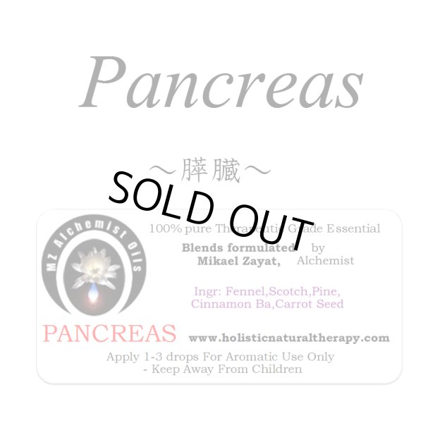 画像1: Pancreas-パンクリアス(膵臓)- (1)