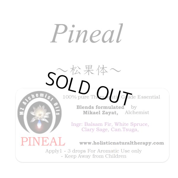 画像1: Pineal-ピニアル(松果体)- (1)