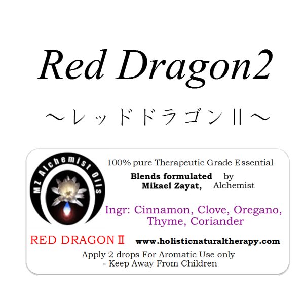 画像1: Red Dragon2-レッドドラゴン2-旧Dragon-ドラゴン（竜）- (1)