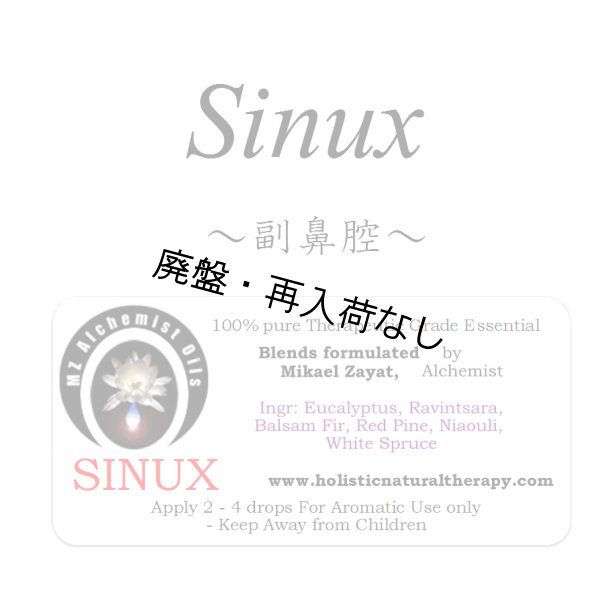 画像1: 【廃盤商品】 Sinux-シナックス（副鼻腔）- (1)