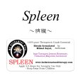 画像1: Spleen-スプリーン(脾臓)- (1)