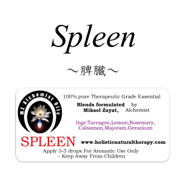 画像1: Spleen-スプリーン(脾臓)- (1)