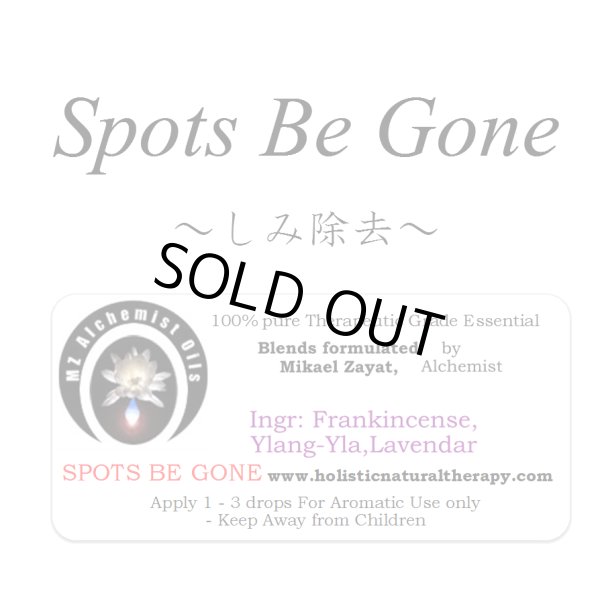 画像1: 【在庫限り】 Spots Be Gone-スポッツ・ビー・ゴーン（しみ除去）- (1)