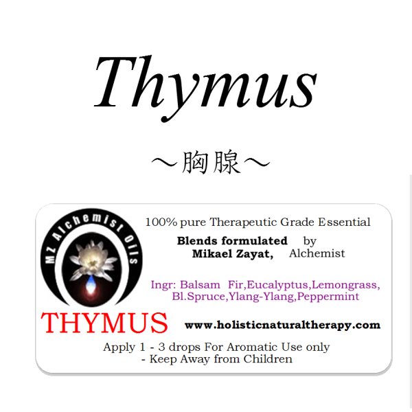 画像1: Thymus-サイマス（胸腺）- (1)