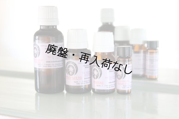 画像1: 【廃盤商品】 Om-オム- (1)