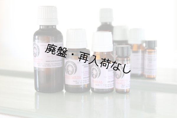 画像2: 【廃盤商品】 5D Shift-5次元シフト‐ (2)